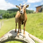 Ferienbauernhof Goerdes Apartamento *