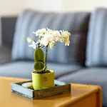 Apartamento Ferienbauernhof Goerdes