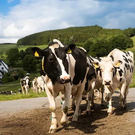 Ferienbauernhof Gördes * Schmallenberg