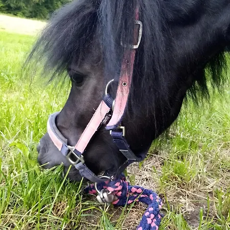 Ferienbauernhof Gördes