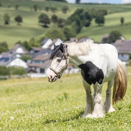 Ferienbauernhof Goerdes * 施马伦贝格