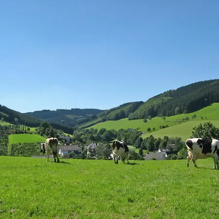 Ferienbauernhof Goerdes Apartament
