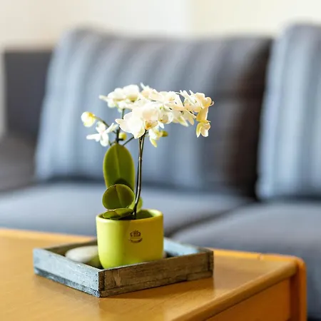 Apartament Ferienbauernhof Goerdes