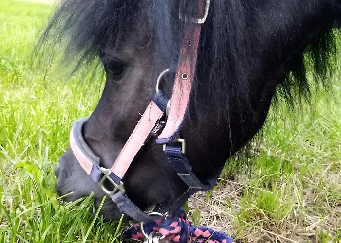 Ferienbauernhof Goerdes