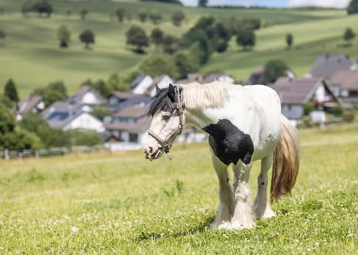 Ferienbauernhof Goerdes * Schmallenberg