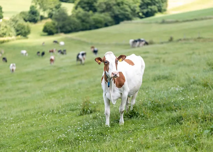 Appartement Ferienbauernhof Goerdes *